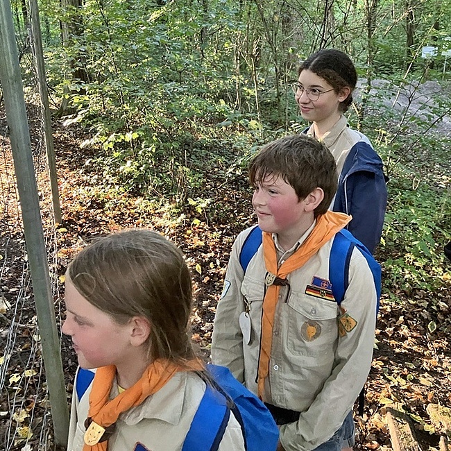 Drei Pfadfinder beobachten die Tiere im Tierpark.